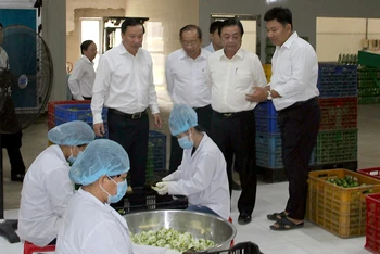 Lãnh đạo Bộ Nông nghiệp và Phát triển nông thôn xem quy trình sản xuất và chế biến chanh của Công ty cổ phần Thương mại và Đầu tư Chanh Việt, xã Thạnh Lợi, huyện Bến Lức.