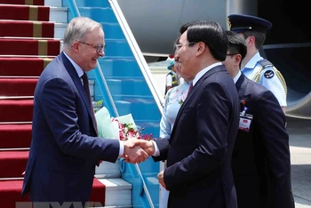 Bộ trưởng, Chủ nhiệm Văn phòng Chính phủ Trần Văn Sơn đón Thủ tướng Australia Anthony Albanese tại sân bay quốc tế Nội Bài.
