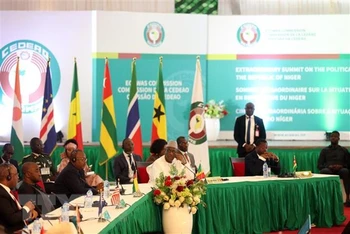 Toàn cảnh phiên họp bất thường các nhà lãnh đạo Cộng đồng Kinh tế Tây Phi (ECOWAS) về tình hình Niger, tại Abuja (Nigeria), ngày 10/8/2023.