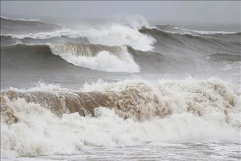 Cảnh báo từ đêm 31/12, nhiều vùng biển có gió giật cấp 8, sóng cao 2-3,5m