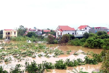 Ảnh minh họa.