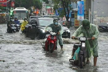 Ảnh minh họa.