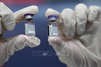 Vaccine ngừa Covid-19 của BioNtech-Pfizer. Ảnh: AFP/TTXVN