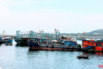 Hải Phòng quyết liệt chống khai thác thủy sản bất hợp pháp
