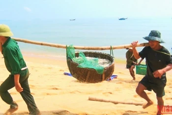 Ngư dân Quảng Xuân gánh cá cơm từ thuyền lên bờ.