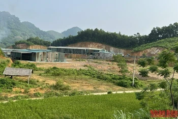Một nhà xưởng hoành tráng mọc lên trên đất lâm nghiệp tại xã Quảng Chu.