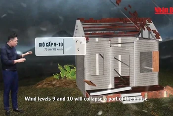 [Video] Hướng dẫn bảo vệ nhà cửa trước bão