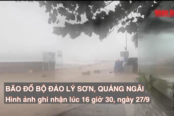 [Video] Bão Noru đổ bộ đảo Lý Sơn
