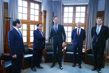 Thủ tướng Chính phủ Phạm Minh Chính và Thủ tướng Hà Lan Mark Rutte. (Ảnh: Nhật Bắc/Dương Giang)