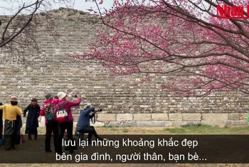 [Video] Người dân Bắc Kinh nô nức du xuân
