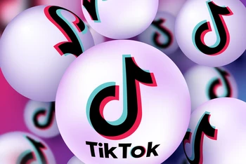 [Infographic] Việt Nam đứng thứ 6 thế giới về số người lớn sử dụng TikTok