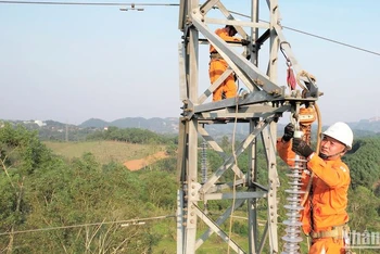 Công nhân Công ty Điện lực Quảng Trị sửa chữa, bảo trì đường dây điện. (Ảnh: LÂM QUANG HUY)