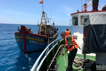 Tàu cá vi phạm bị lực lượng chức năng tỉnh Quảng Ngãi phát hiện.