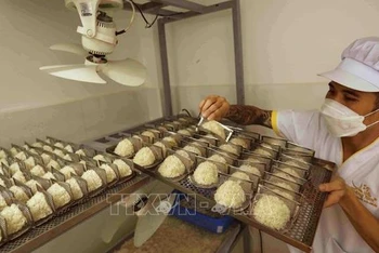 Kiểm tra chất lượng sản phẩm tổ yến sấy khô trước khi đóng gói tại Công ty TNHH yến sào Hoàng Kim ở phường Vĩnh Hòa, thành phố Nha Trang. (Ảnh: Vũ Sinh/TTXVN)