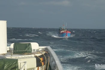 [Video] Vùng 3 Hải quân vượt sóng to, gió lớn cứu tàu cá ngư dân Quảng Ngãi bị nạn trên biển
