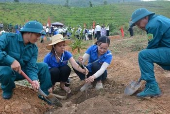 Hưởng ứng Ngày hội trồng cây mắc-ca năm 2024, ngay trong chiều 23/5 có hàng trăm người là nhân dân, cán bộ, giáo viên huyện Tuần Giáo tham gia trồng cây mắc-ca tại xã Quài Cang.