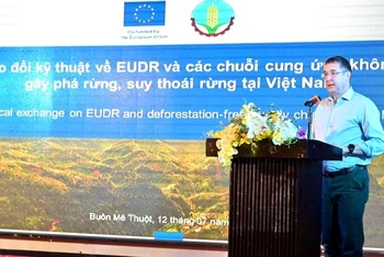 Tham tán thứ nhất về Hành động khí hậu, môi trường, việc làm và chính sách xã hội, Phái đoàn EU tại Việt Nam Rui Ludovino phát biểu tại hội thảo.