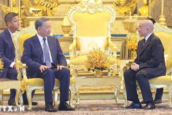 Chủ tịch nước Tô Lâm hội kiến Quốc vương Norodom Sihamoni tại Cung điện Hoàng gia Campuchia. 