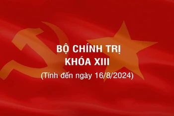 [Infographic] Các đồng chí Ủy viên Bộ Chính trị khóa XIII