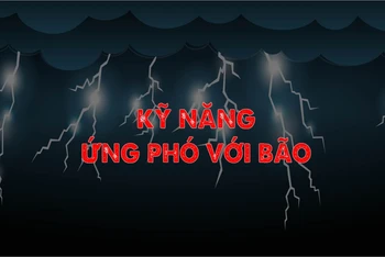 [Infographic] Kỹ năng ứng phó với bão