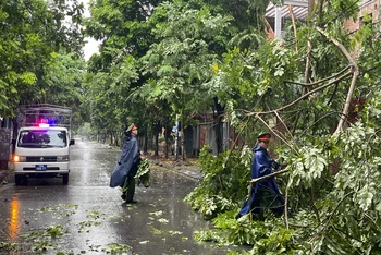 Cán bộ, chiến sĩ Công an phường Lộc Hoà, Thành phố Nam Định thu dọn cây gãy đổ cản trở giao thông trên địa bàn.