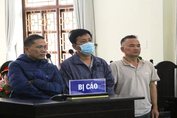 Bị cáo Lê Tự Trị (người đứng thứ nhất bên phải ảnh) và các bị cáo khai nhận hành vi vi phạm pháp luật trước phiên tòa.