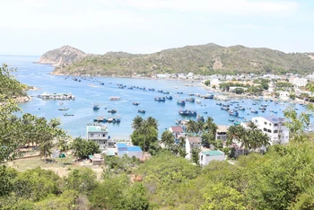 Vịnh Vĩnh Hy thuộc xã Vĩnh Hải, huyện Ninh Hải (Ninh Thuận) mang vẻ đẹp hoang sơ, hùng vĩ được du khách bình chọn là thiên đường biển xanh, là một trong bốn vịnh đẹp nhất Việt Nam.