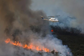 Nỗ lực dập tắt cháy rừng do nắng nóng tại Tây Ban Nha ngày 15/7 (Ảnh; REUTERS)