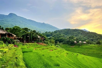 Những ngày chớm thu tháng 8, màu lúa xanh tươi ngập tràn khắp các thung lũng và triền đồi ở khu bảo tồn thiên nhiên Pù Luông.