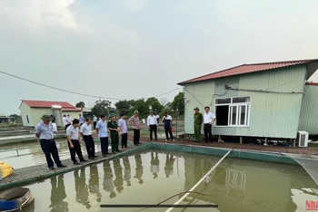 Lãnh đạo tỉnh Hải Dương kiểm tra việc nuôi cá lồng ở phường Nam Đồng thành phố Hải Dương
