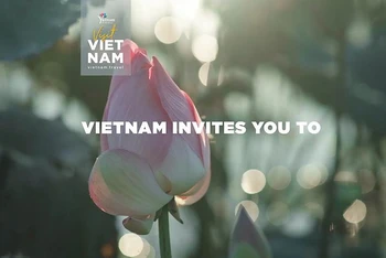 Hình ảnh từ clip "Why not Vietnam?" lên sóng CNN từ ngày 15/10/2020. (Ảnh chụp màn hình) 