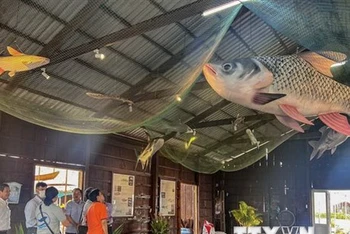 Cần Thơ: Mô hình 3D về loài cá hiếm giúp quảng bá du lịch Cồn Sơn