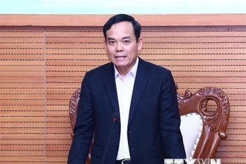 Phó Thủ tướng Trần Lưu Quang là Tổ trưởng Tổ công tác đặc biệt của Thủ tướng . (Ảnh: Lâm Khánh/TTXVN)