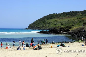 Đảo Jeju ở Hàn Quốc từ lâu đã được mệnh danh là "Hawaii của châu Á". (Ảnh: YONHAP)