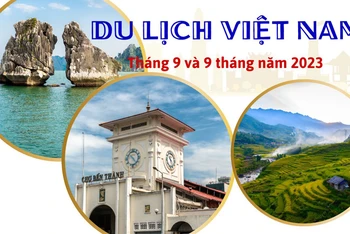 [Infographic] Du lịch Việt Nam vượt mục tiêu đón 8 triệu khách quốc tế