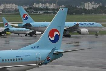 Máy bay của hãng hàng không Korean Air tại sân bay Gimpo ở Seoul (Hàn Quốc). (Anh: AFP/TTXVN)
