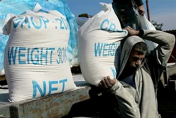 Người dân Palestine nhận lương thực viện trợ nhân đạo tại trại tị nạn ở Rafah, miền Nam Dải Gaza, giáp giới với Ai Cập. (Ảnh: AFP/TTXVN)