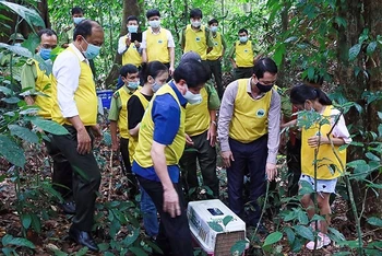 Tái thả động vật hoang dã vào rừng tại Vườn quốc gia Cúc Phương (Ninh Bình).