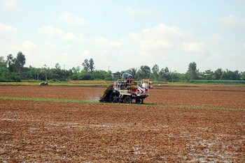 Nông dân tỉnh Tiền Giang làm đất xuống giống vụ lúa đông xuân 2023-2024.