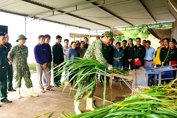 Cán bộ Căn cứ Hậu cần 1, Cục Hậu cần Quân khu 4 hướng dẫn người dân ở bản Mó, xã Nghĩa Xuân, huyện Quỳ Hợp (Nghệ An) cách chế biến thức ăn chăn nuôi bò.