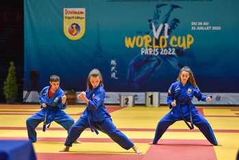 Một tiết mục trình diễn võ thuật trong đêm chung kết Giải vô địch thế giới Vovinam - Việt Võ Đạo lần thứ 6 (2022).