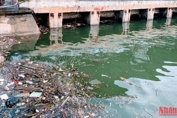Rác thải gây ô nhiễm môi trường trên biển Hải Phòng.
