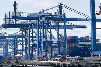 Bốc xếp công-ten-nơ hàng hóa xuất khẩu lên tàu chở hàng tại Cảng Cát Lái, Thành phố Hồ Chí Minh. (Ảnh: MINH DŨNG)