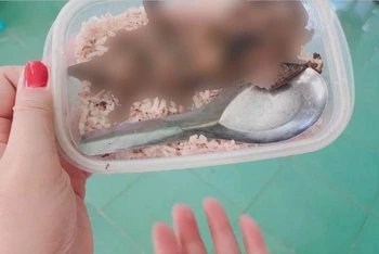 Hình ảnh hộp cơm với thịt chuột được đưa lên mạng xã hội. 