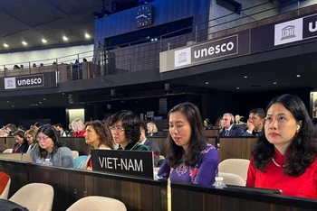 Đoàn Việt Nam tham dự Khóa họp lần thứ 215 Hội đồng Chấp hành của UNESCO. (Ảnh: Bộ Ngoại giao)
