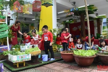 Học sinh trường mần non Bình Minh trong giờ học tìm hiểu về thiên nhiên, cây cỏ. (Ảnh: ANH ĐÀO)