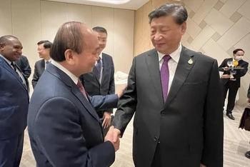 Chủ tịch nước Nguyễn Xuân Phúc gặp Tổng Bí thư, Chủ tịch nước Trung Quốc Tập Cận Bình. (Nguồn: Báo Quốc tế/TTXVN) 