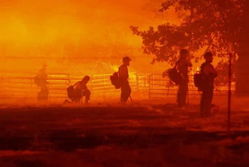 Lính cứu hỏa bất lực đứng nhìn khi ngọn lửa ngùn ngụt cháy ở Darrah, Hạt Mariposa, California, Mỹ, ngày 22/7. (Ảnh: REUTERS)