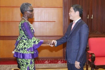 Trưởng Ban Kinh tế Trung ương Trần Tuấn Anh tiếp Phó Tổng Giám đốc Quỹ Tiền tệ quốc tế (IMF) Antoinette Monsio Sayeh. (Ảnh: TTXVN)