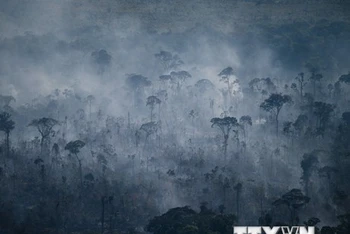 Khói bốc lên từ đám cháy rừng Amazon ở Apui, bang Amazonas, Brazil, ngày 27/7/2022. (Ảnh: AFP/TTXVN)